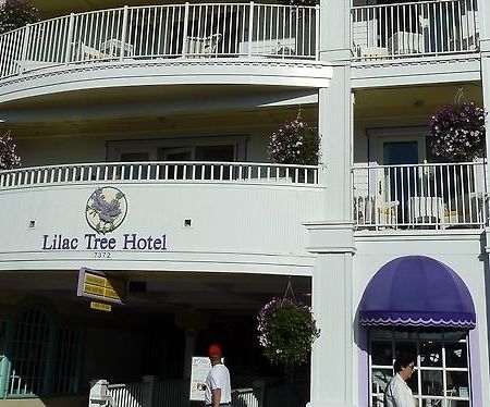 Lilac Tree Suites Mackinac Island Dış mekan fotoğraf